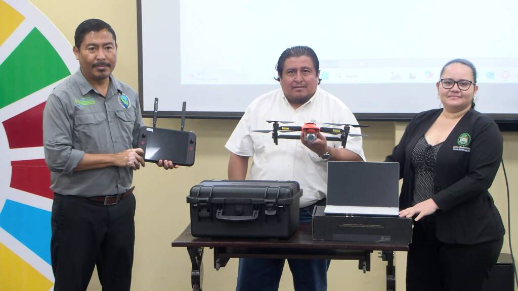 Sargassum Management